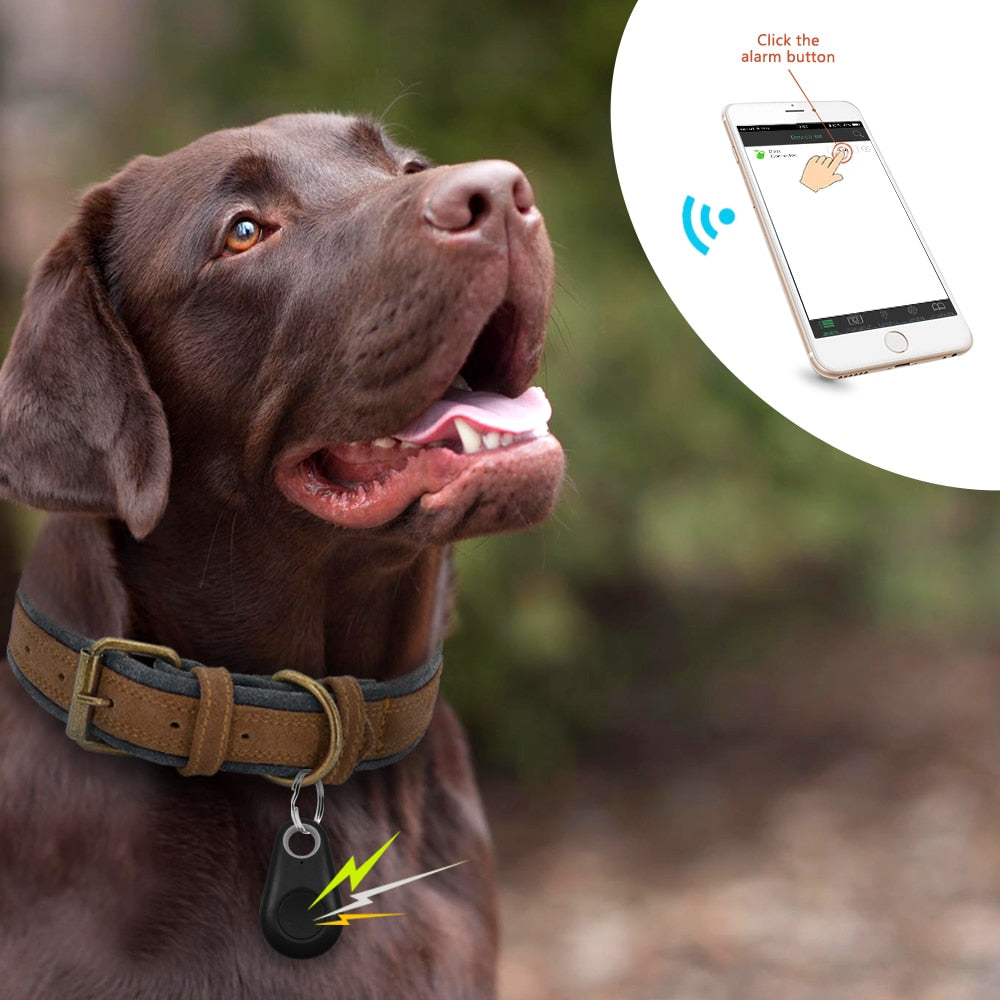 Smart GPS Finder Bluetooth Pet Locator