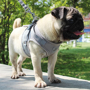 Effosola - Adjustable Mesh Vest Dog Harness Collar Chest Strap