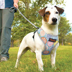 Didog - Nylon Reflective Printed Harness