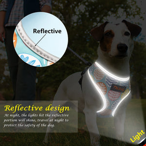 Didog - Nylon Reflective Printed Harness