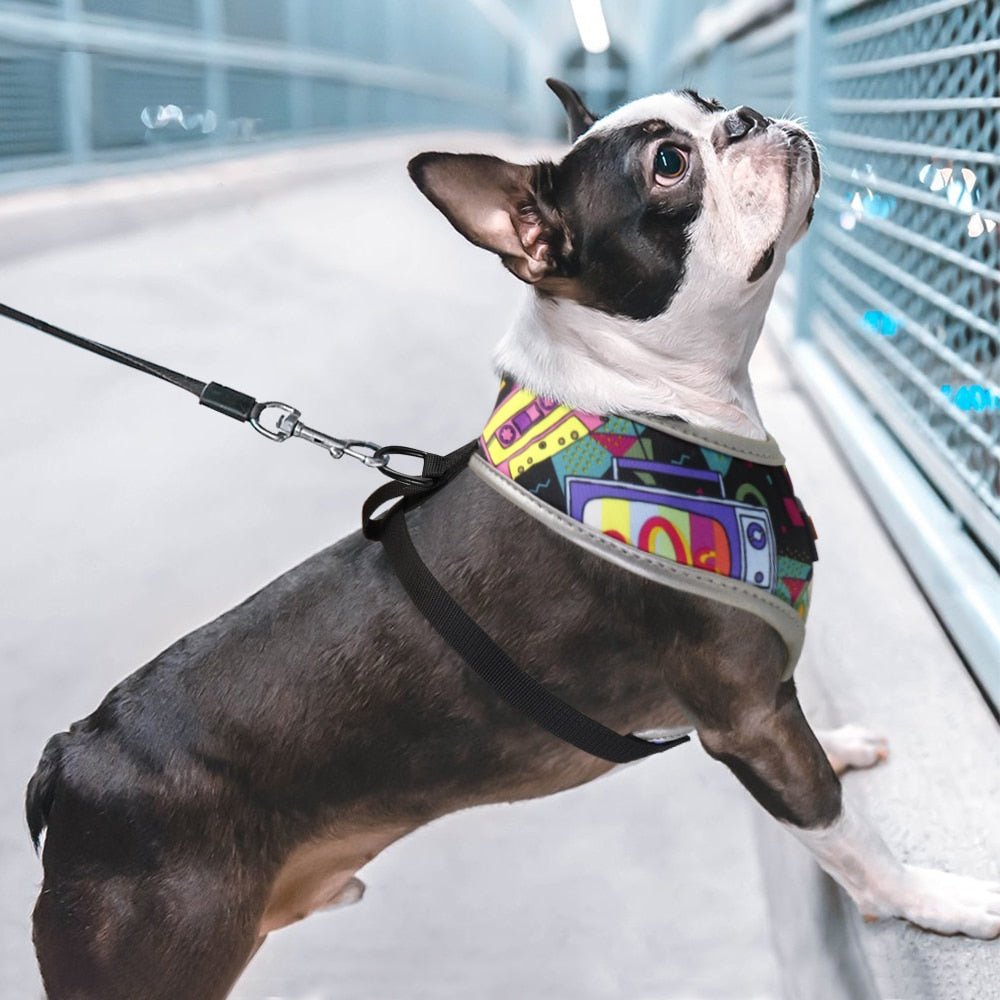 Didog - Nylon Reflective Printed Harness