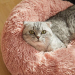 Comfy Calming & Self-Warming Cushion Bed for Cat & Dog