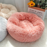 Comfy Calming & Self-Warming Cushion Bed for Cat & Dog